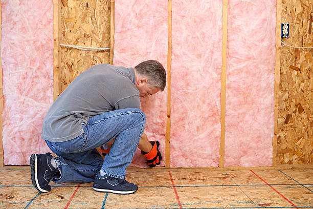 Best Insulation Maintenance and Repair in Henderson, TX
