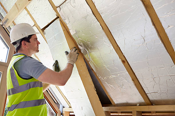 Best Insulation Installation Services in Henderson, TX