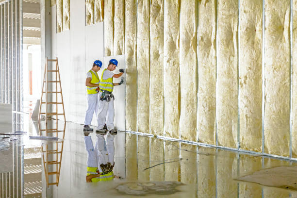 Best Residential Insulation in Henderson, TX